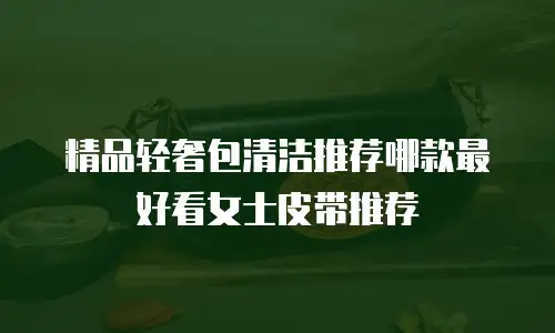 精品轻奢包清洁推荐哪款最好看女士皮带推荐