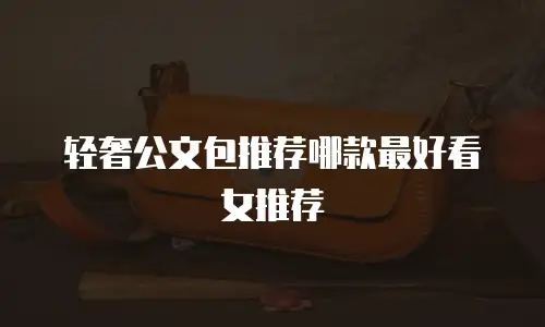 轻奢公文包推荐哪款最好看女推荐