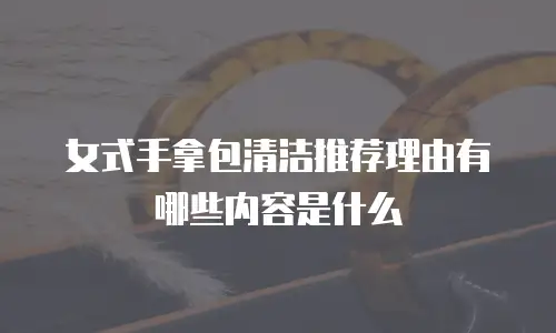 女式手拿包清洁推荐理由有哪些内容是什么