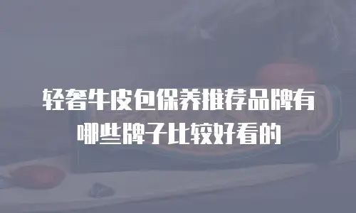 轻奢牛皮包保养推荐品牌有哪些牌子比较好看的