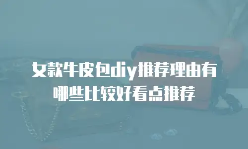 女款牛皮包diy推荐理由有哪些比较好看点推荐