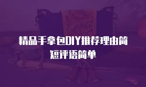 精品手拿包DIY推荐理由简短评语简单