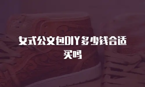 女式公文包DIY多少钱合适买吗