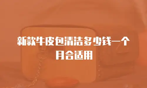 新款牛皮包清洁多少钱一个月合适用