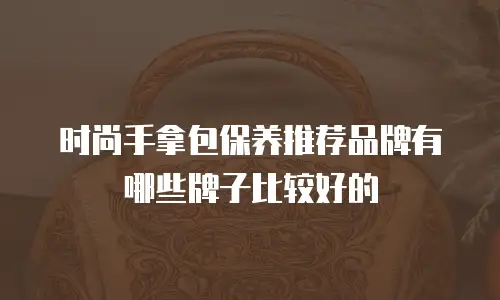 时尚手拿包保养推荐品牌有哪些牌子比较好的