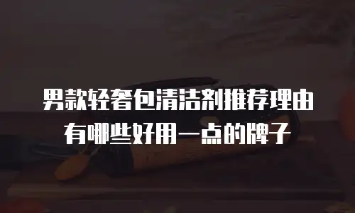 男款轻奢包清洁剂推荐理由有哪些好用一点的牌子