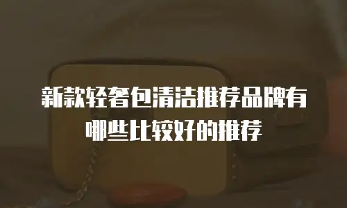 新款轻奢包清洁推荐品牌有哪些比较好的推荐
