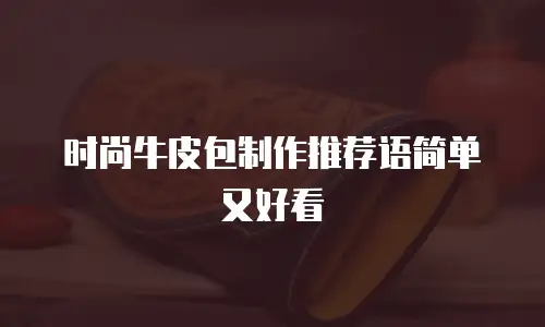 时尚牛皮包制作推荐语简单又好看