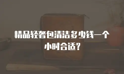 精品轻奢包清洁多少钱一个小时合适？