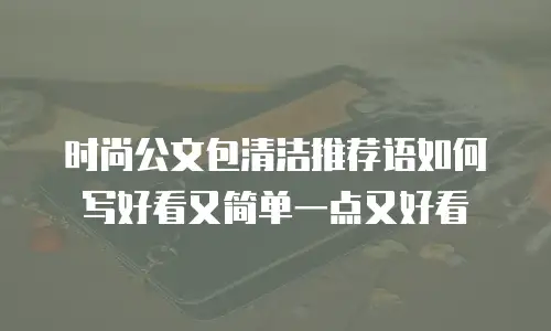 时尚公文包清洁推荐语如何写好看又简单一点又好看
