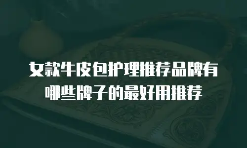 女款牛皮包护理推荐品牌有哪些牌子的最好用推荐