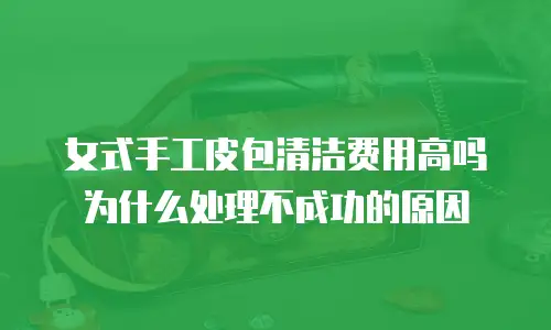 女式手工皮包清洁费用高吗为什么处理不成功的原因