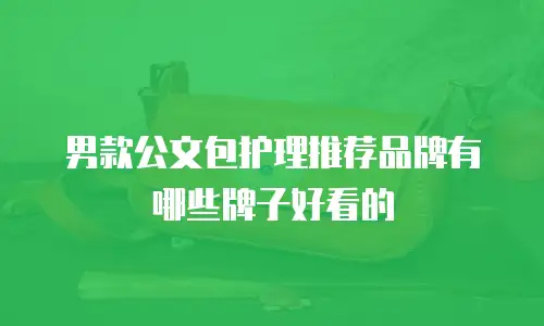 男款公文包护理推荐品牌有哪些牌子好看的