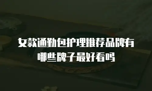 女款通勤包护理推荐品牌有哪些牌子最好看吗