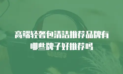 高端轻奢包清洁推荐品牌有哪些牌子好推荐吗