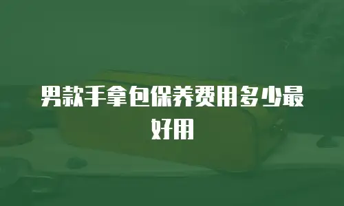 男款手拿包保养费用多少最好用