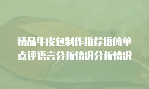 精品牛皮包制作推荐语简单点评语言分析情况分析情况