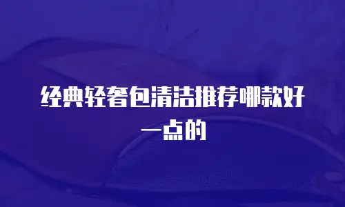 经典轻奢包清洁推荐哪款好一点的