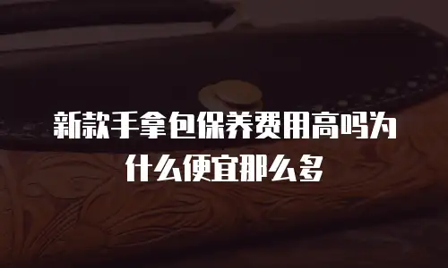 新款手拿包保养费用高吗为什么便宜那么多