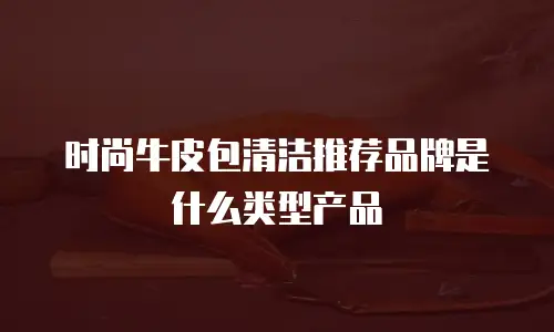 时尚牛皮包清洁推荐品牌是什么类型产品