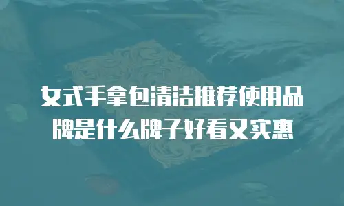 女式手拿包清洁推荐使用品牌是什么牌子好看又实惠