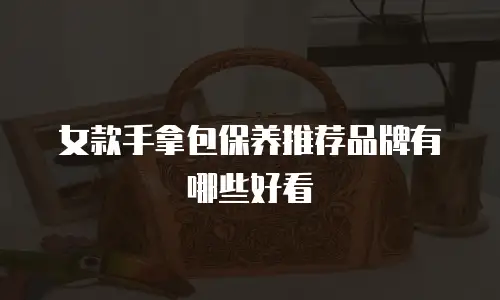 女款手拿包保养推荐品牌有哪些好看
