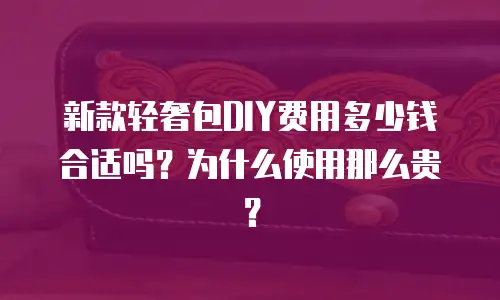 新款轻奢包DIY费用多少钱合适吗？为什么使用那么贵？