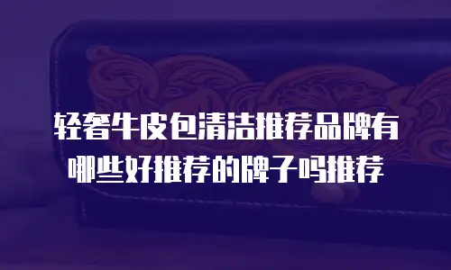 轻奢牛皮包清洁推荐品牌有哪些好推荐的牌子吗推荐