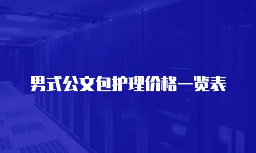 男式公文包护理价格一览表