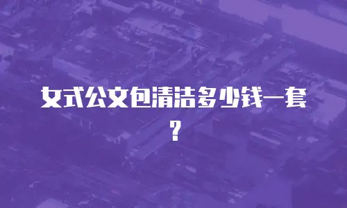 女式公文包清洁多少钱一套？