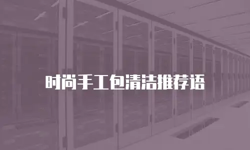 时尚手工包清洁推荐语
