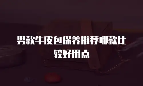 男款牛皮包保养推荐哪款比较好用点