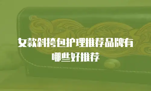 女款斜挎包护理推荐品牌有哪些好推荐