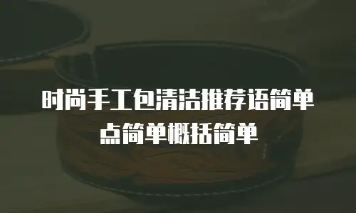时尚手工包清洁推荐语简单点简单概括简单