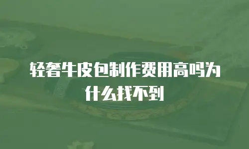 轻奢牛皮包制作费用高吗为什么找不到
