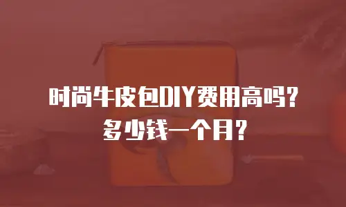 时尚牛皮包DIY费用高吗？多少钱一个月？