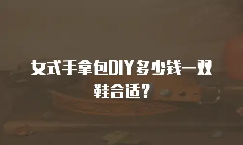 女式手拿包DIY多少钱一双鞋合适？