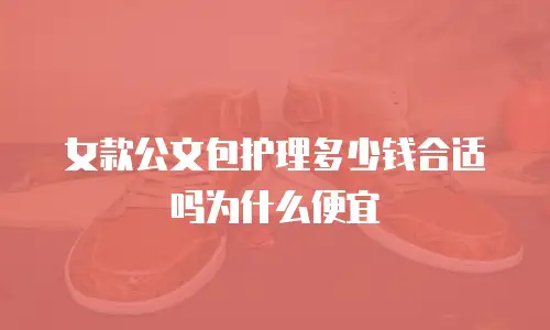 女款公文包护理多少钱合适吗为什么便宜
