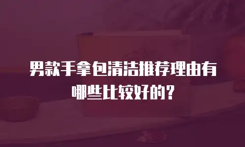 男款手拿包清洁推荐理由有哪些比较好的？
