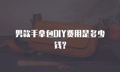 男款手拿包DIY费用是多少钱？