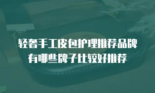 轻奢手工皮包护理推荐品牌有哪些牌子比较好推荐
