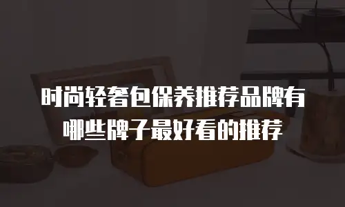 时尚轻奢包保养推荐品牌有哪些牌子最好看的推荐