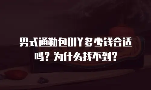 男式通勤包DIY多少钱合适吗？为什么找不到？