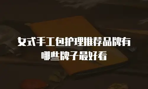 女式手工包护理推荐品牌有哪些牌子最好看