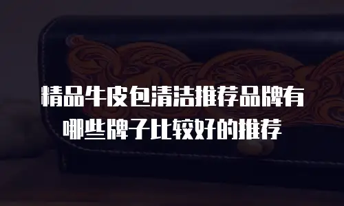 精品牛皮包清洁推荐品牌有哪些牌子比较好的推荐