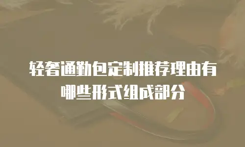 轻奢通勤包定制推荐理由有哪些形式组成部分
