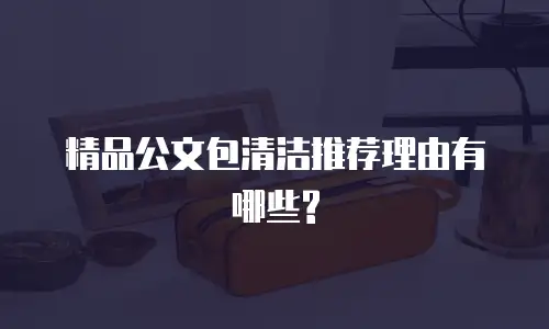 精品公文包清洁推荐理由有哪些?