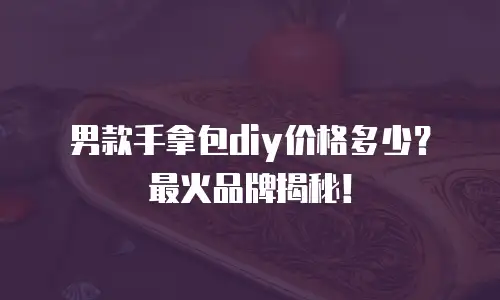 男款手拿包diy价格多少？最火品牌揭秘！