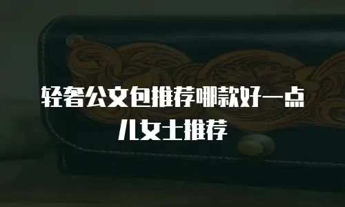轻奢公文包推荐哪款好一点儿女士推荐