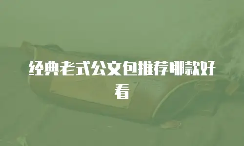 经典老式公文包推荐哪款好看